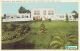 Loma Linda Postcard